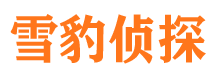 原平市婚姻出轨调查